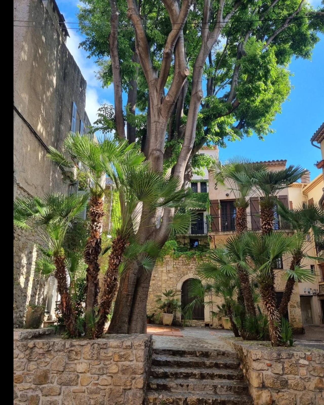 06An - Beautiful Apartment In The Heart Of Old אנטיב מראה חיצוני תמונה